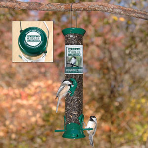 songbird feeder