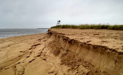 Significant erosion is occurring in areas where there is no vegetation. Photo by Sandy Tilton.