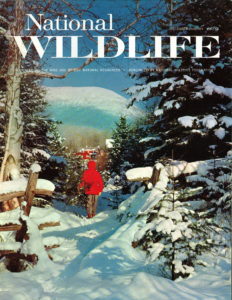 First issue of National Wildlifewas available in December 1962