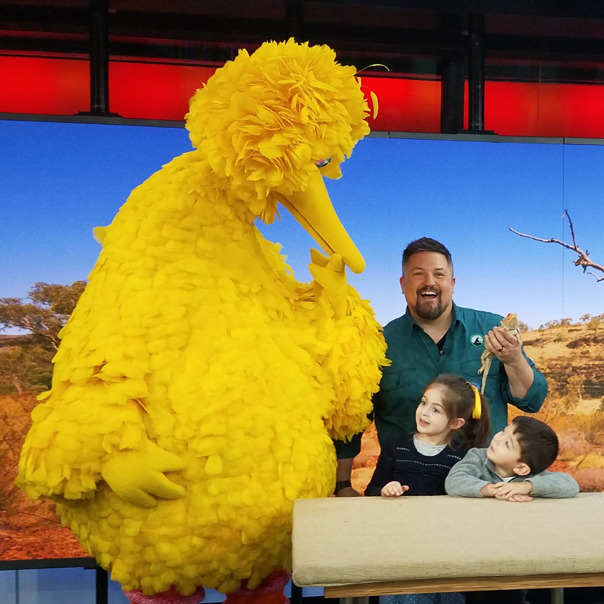 David Mizejewski and Big Bird on the Today Show