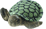 Sea-Turtle-plush_150x96