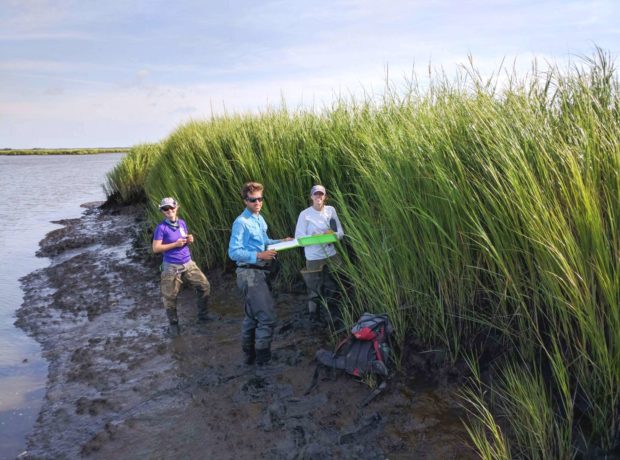 Four Steps to More Resilient Coasts - The National Wildlife Federation Blog