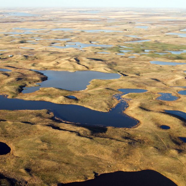 prairie pothole wetlands