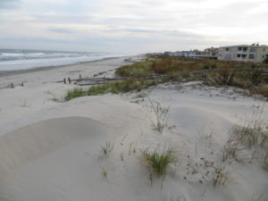 Beaches and vegetated dunes are natural defenses for coastal communities and provide wildlife habitat. Photo by Stacy Small-Lorenz