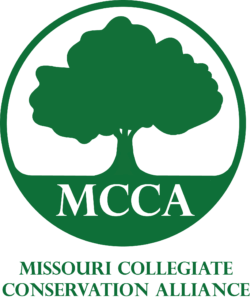 MCCA logo 2