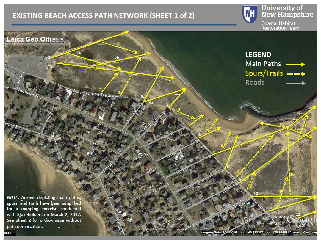 Map showing foot paths through the dunes on Plum Island Point