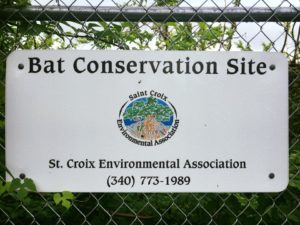 Bat Conservation Site