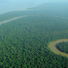 Aerial view of the Amazon rainforest via Wikimedia Commons