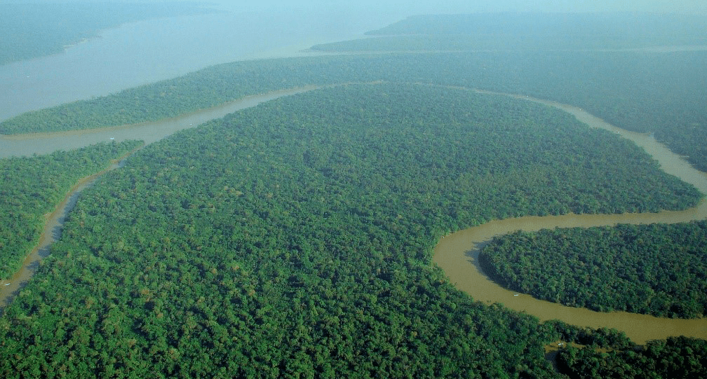 Aerial view of the Amazon rainforest via Wikimedia Commons