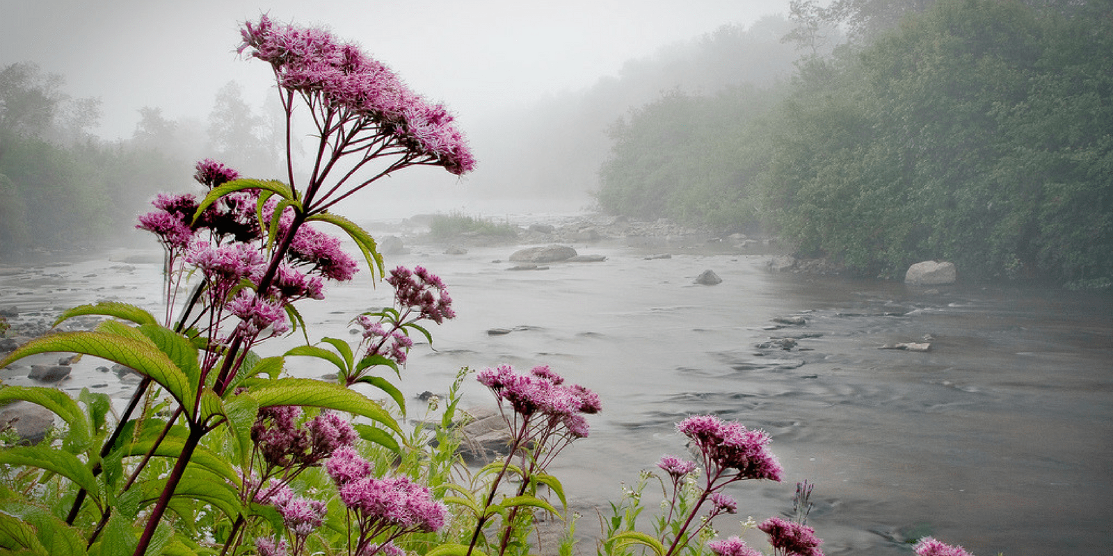 Blackwater River, Canaan Valley National Wildlife Refuge, West Virginia