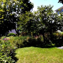 Home and garden photo by Linda Ferich