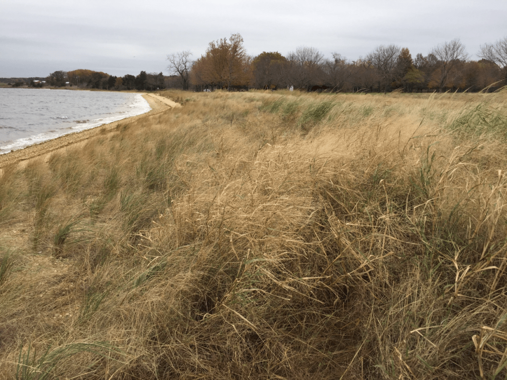 Conquest Beach One Year Later The National Wildlife Federation Blog