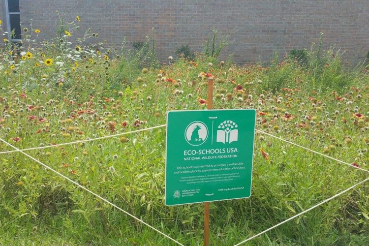 Eco-schools sign amid native plant garden