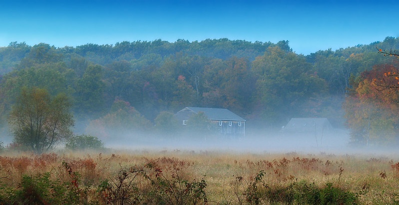 Fog forming over wetlands in William Penn State National Forest, Pennsylvania.