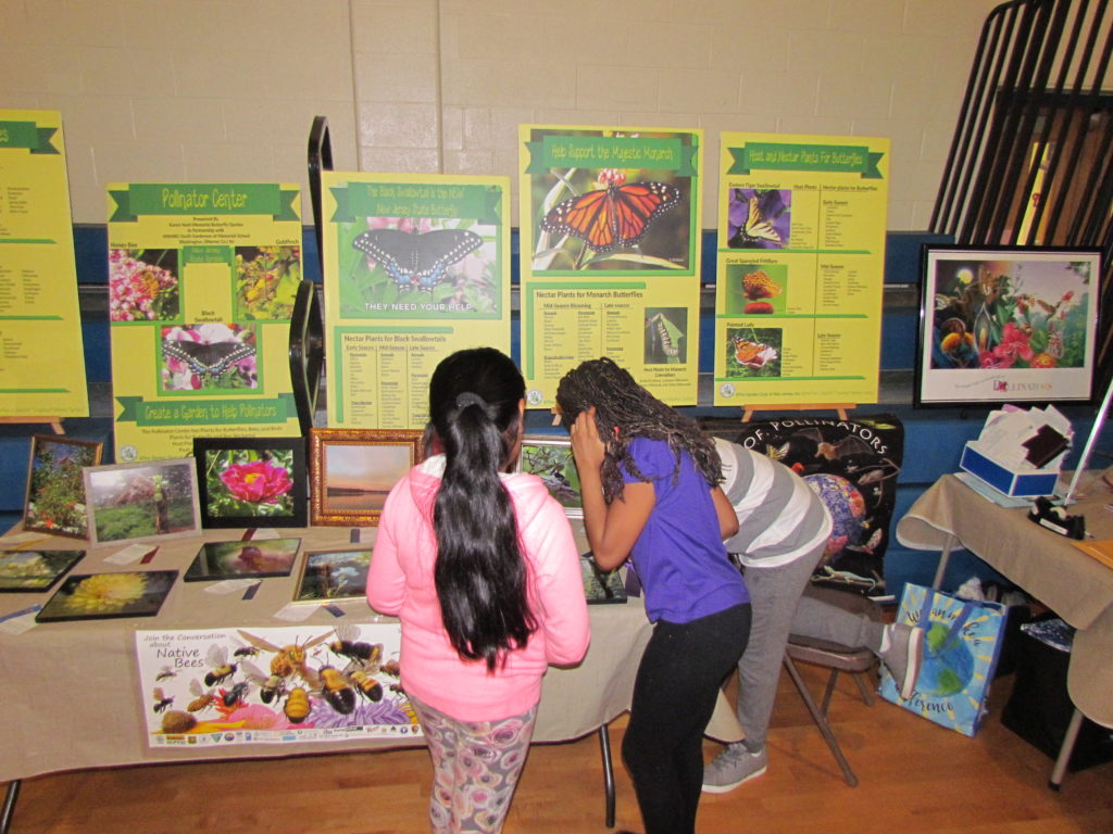 A Powerful Force for Pollinators National Garden Clubs The National