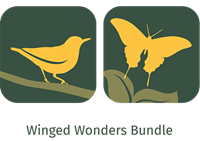 Winged Wonders Bundle