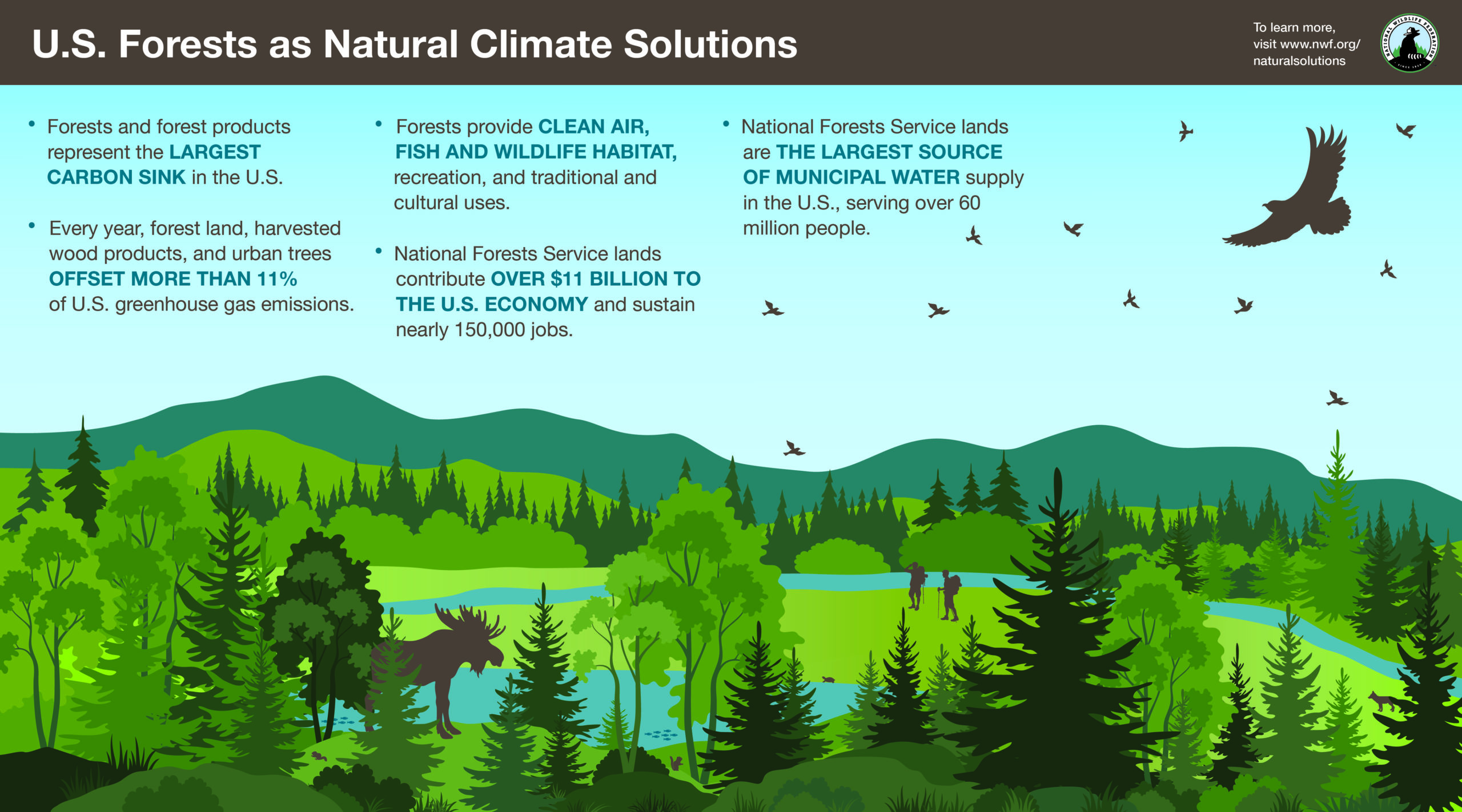 U.S. Forests as Natural Climate Solutions infographic