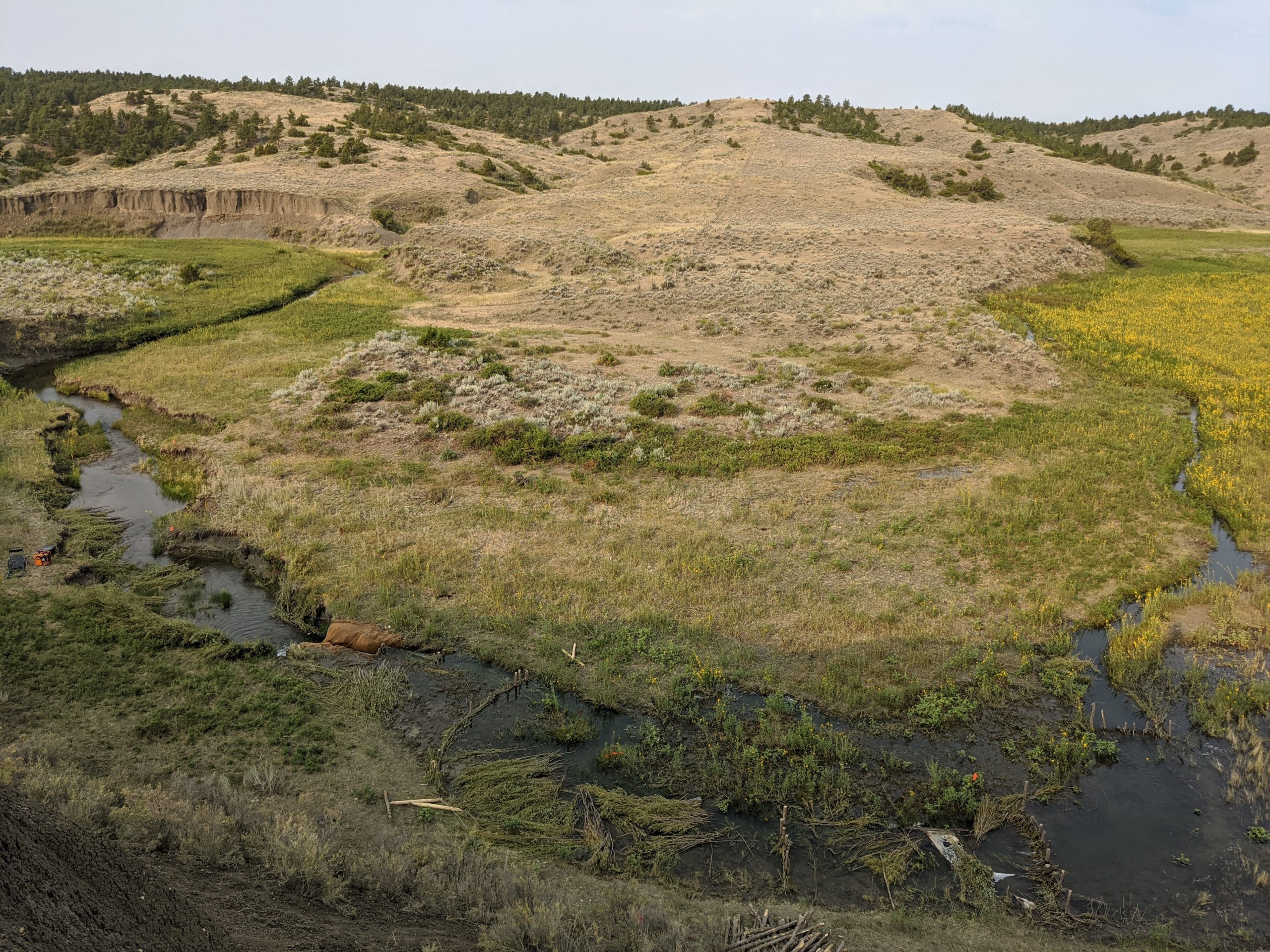 Cottonwood Creek restoration site, showing water spreading onto floodplain after first day of work re-watering the prairie. 