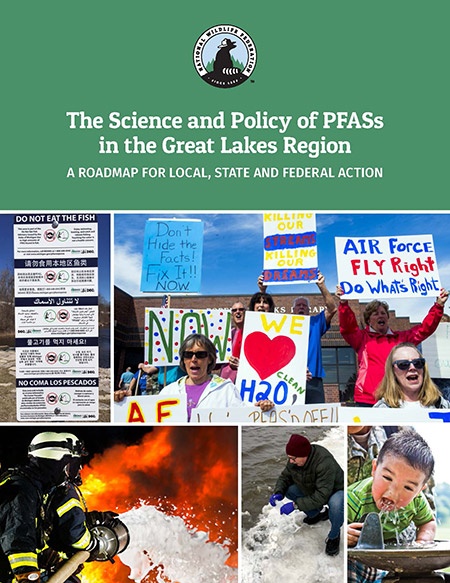 The Science and Policy of PFASs in the Great Lakes Region report. 
