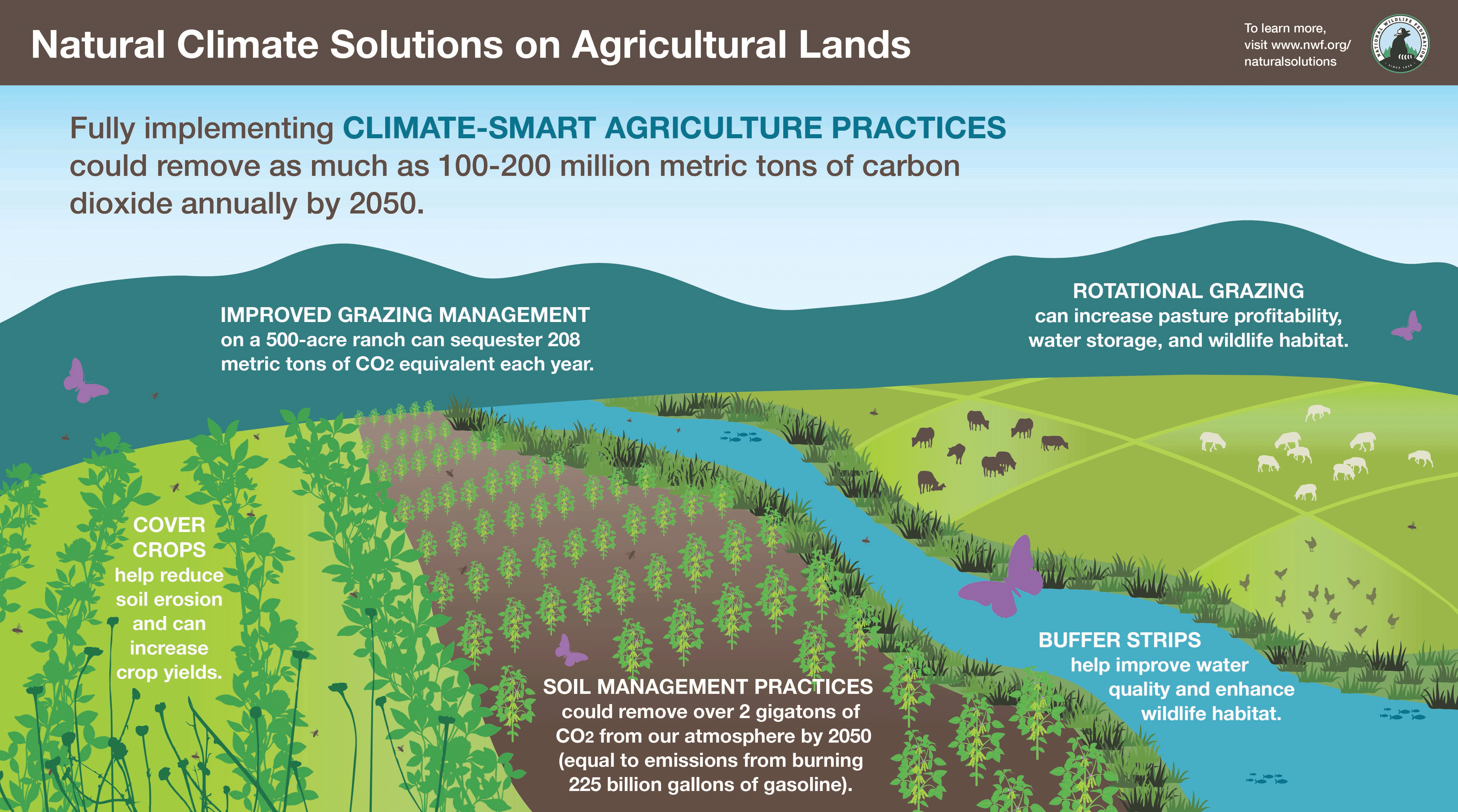 Natural Climate Solutions on Agricultural Lands