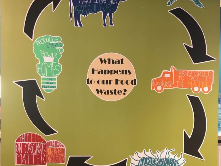 sustainable life cycle poster