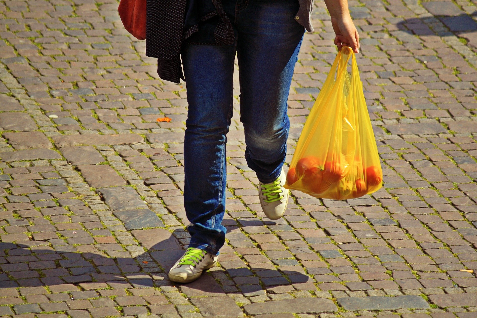 plastic bag with groceries