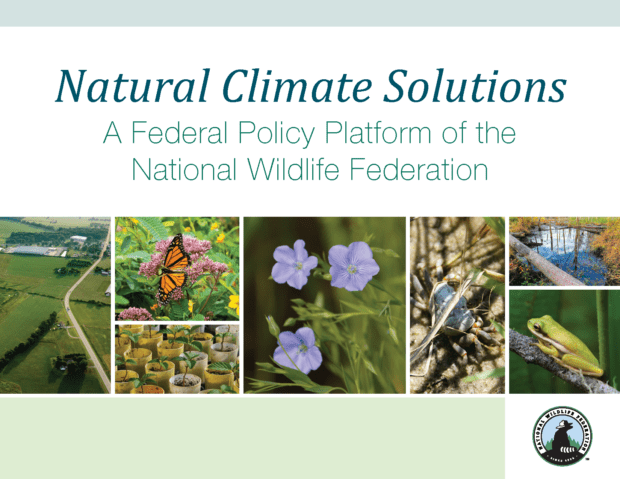 Natural Climate Solutions Policy Platform