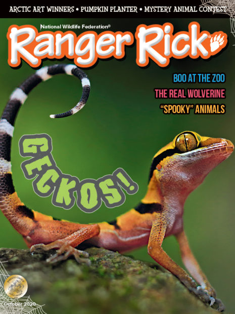 Ranger Rick October 2020 cover