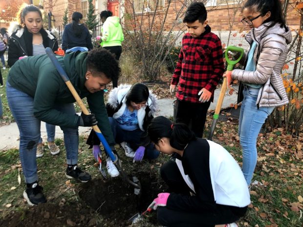 Climate education students plant trees. 