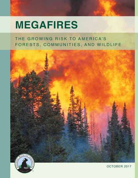 Megafires Report Cover
