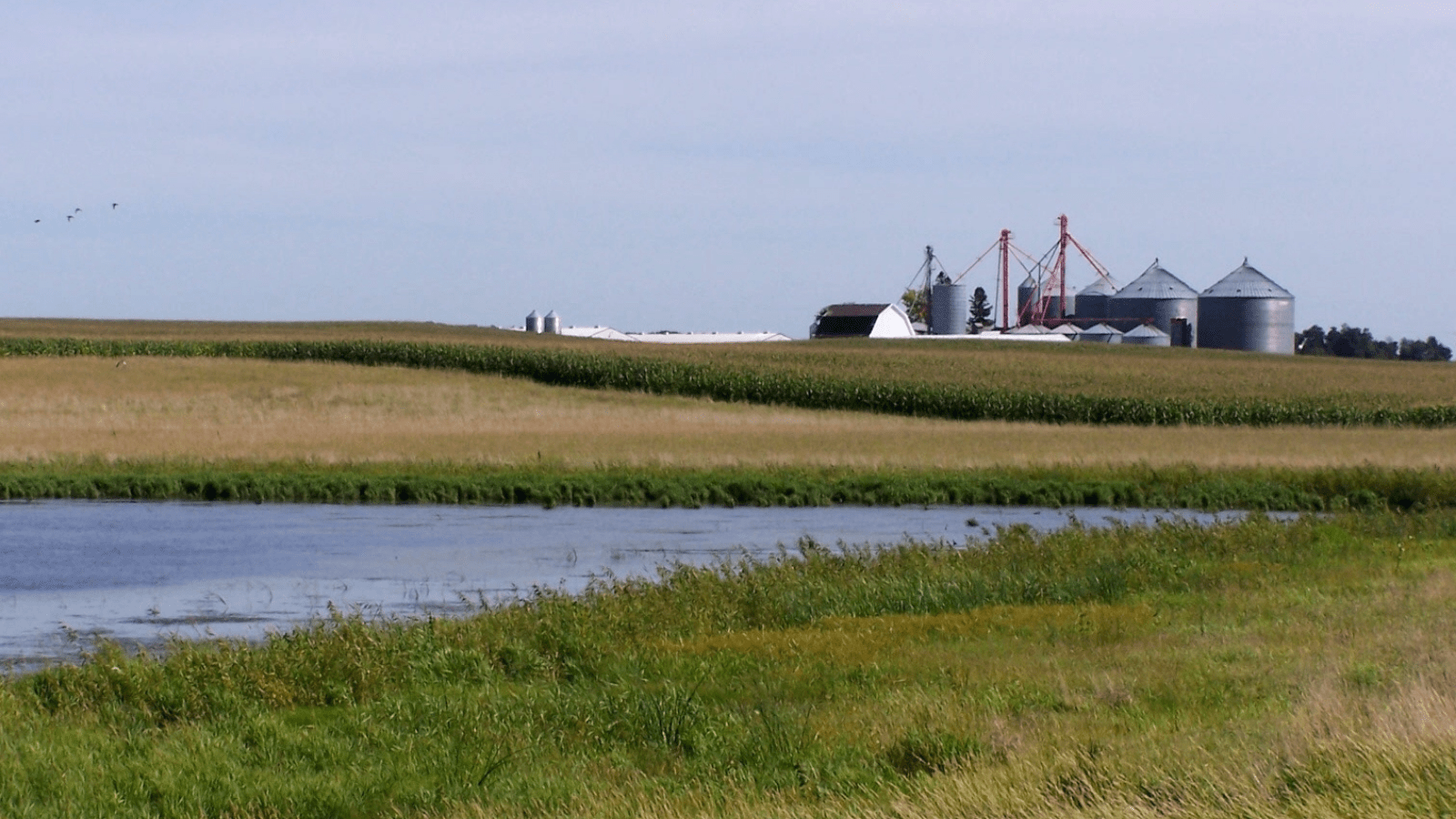 Farmland protected by a wetland buffer in the Prairie Potholes region, Iowa.