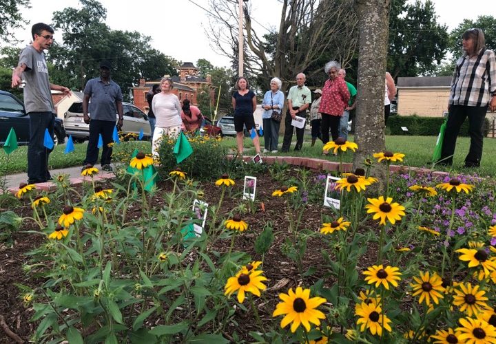 Members of the congregation learn about the benefits of a newly installed rain garden.