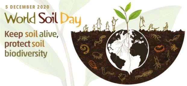 World Soil Day photo
