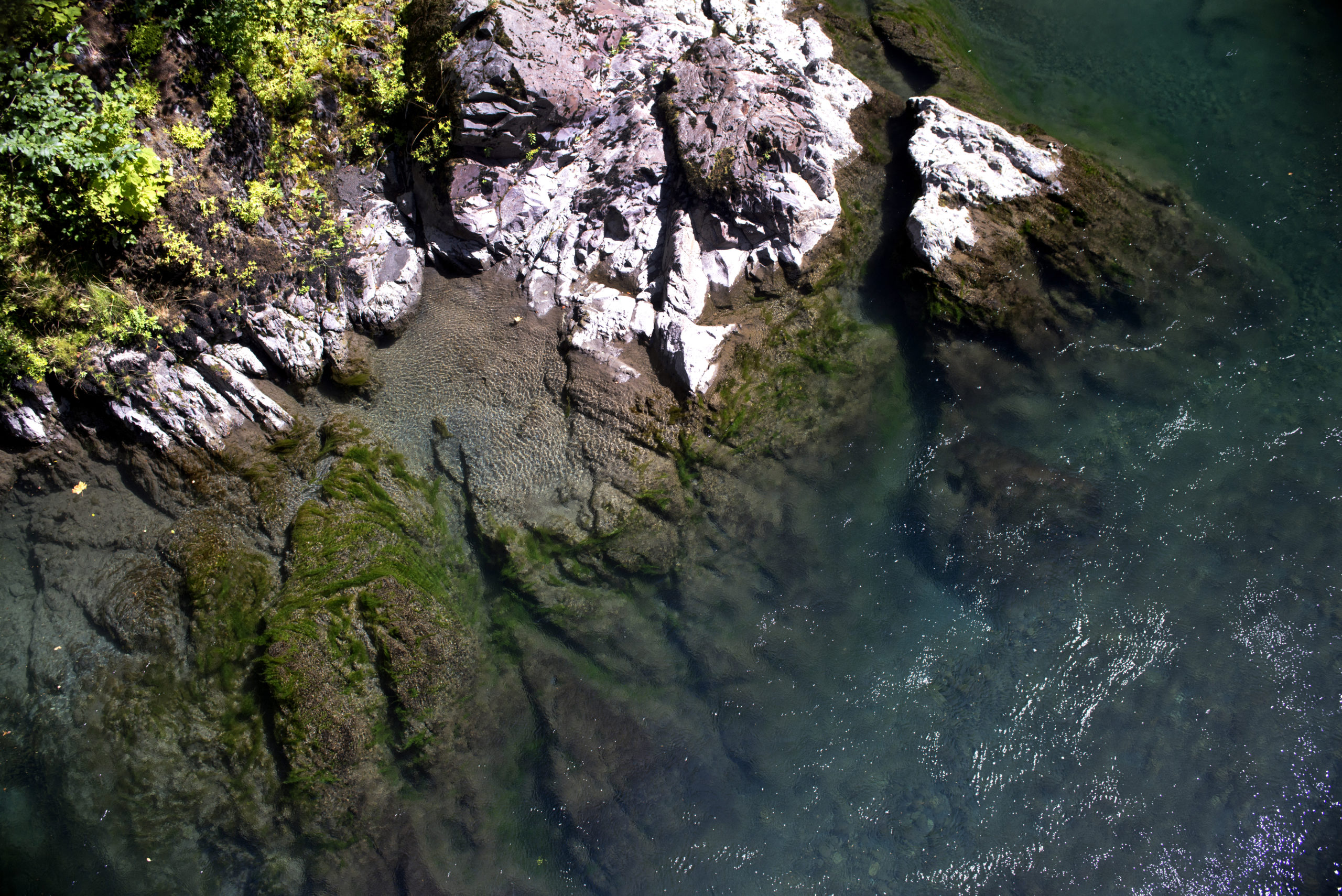 An overhead view of the Glines Overlook, with a shot of where the river meets a rocky moss bank.
