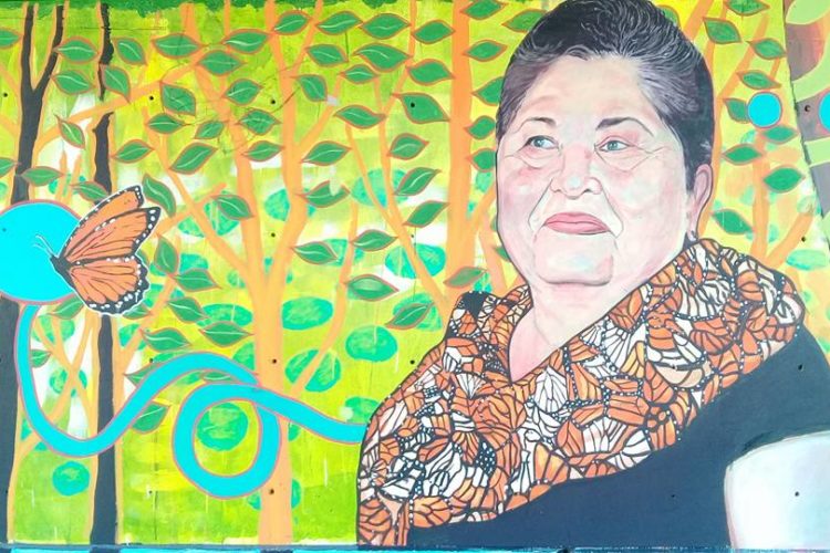 A colorful mural of Rocío Treviño with monarchs on her collar and near her.