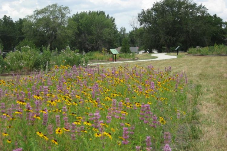 Pollinator garden with interpretive signs at a recovered Superfund site.