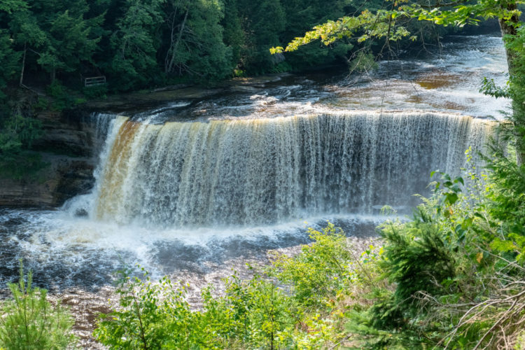 A shot of Tahquamenon falls with vegetation in the frame. 