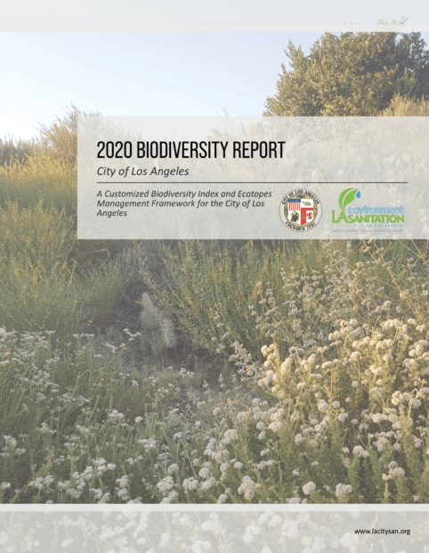 A screencap of the city of Los Angeles’ 2020 Biodiversity report, with a native plant landscape in the background