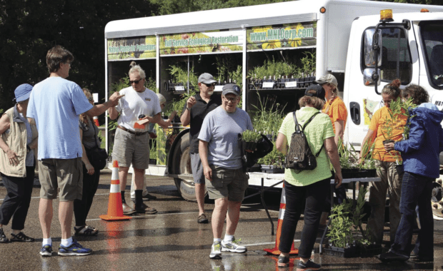 A group of people buy plants during a native plant sale.