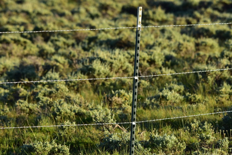 A close up of a wildlife-friendly fence
