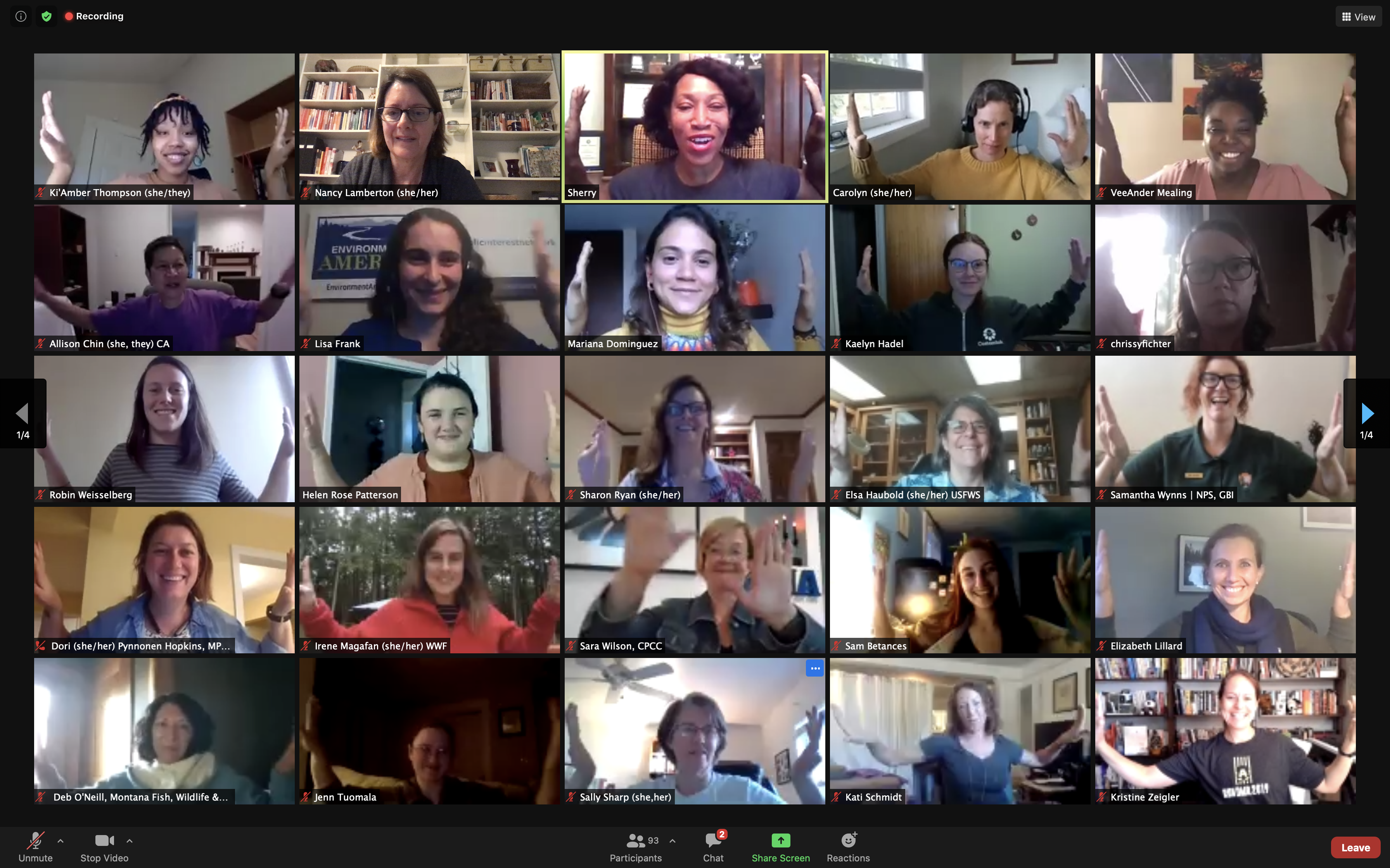 zoom meeting with many participants on screen
