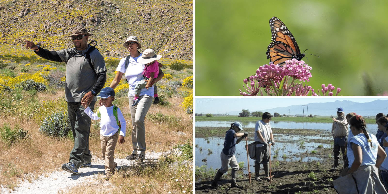 image 1, family hiking, image 2, butterfly, image 3, volunteers working outdoors