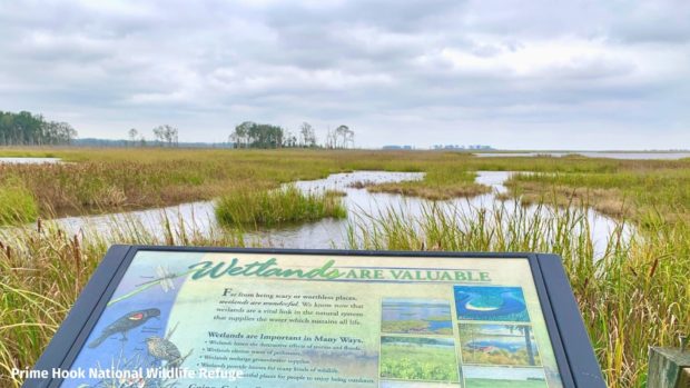 Wetlands informational sign at Prime Hook National Wildlife Refuge