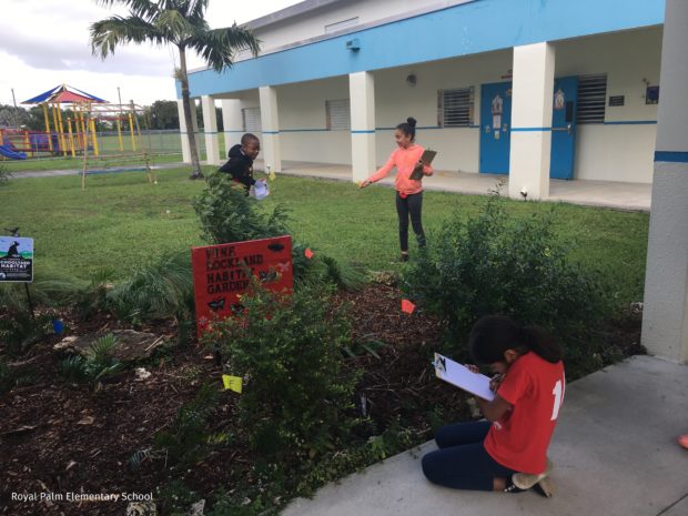 Students learning in schoolyard habitat.
