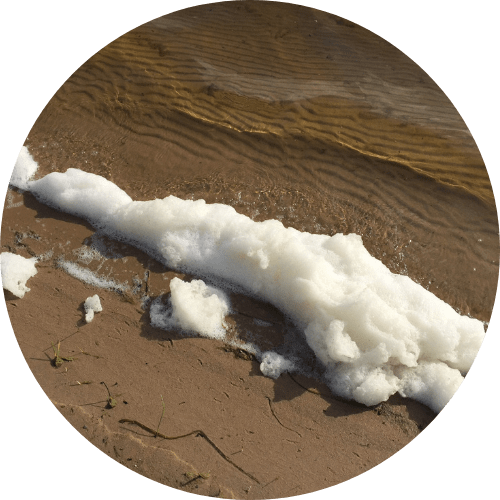 PFAS foam washes ashore in Michigan.