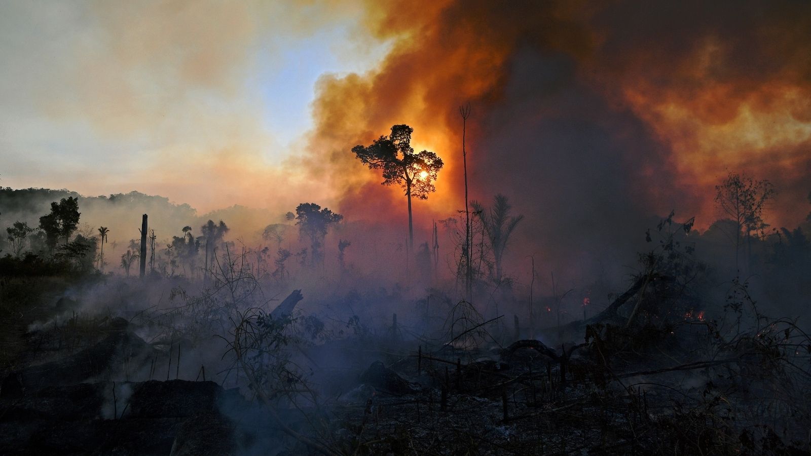 Smoke rises from an illegally lit fire in Amazon rainforest reserve, south of Novo Progresso in Para state, Brazil, on August 15, 2020. (Photo by CARL DE SOUZA / AFP) (Photo by CARL DE SOUZA/AFP via Getty Images)