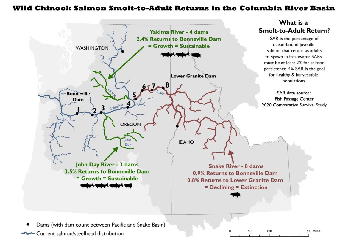 Five Reasons We Should Restore The Lower Snake River And Support The Salmonmapp