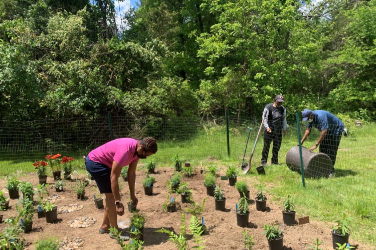 Members and Leaders of the Reston (VA) Chapter of The Links, Incorporated creating a pollinator garden at the Mt. Pleasant Baptist Church located in northern Virginia. 
