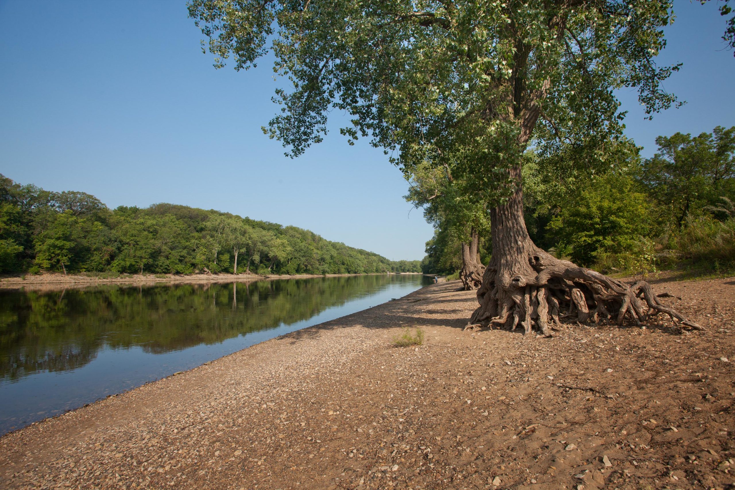 From Louisiana to Minnesota, the Mississippi River runs through many states and ecosystems.