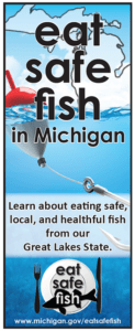 eat safe fish brochure